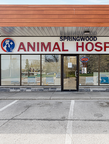 Hospital entrance
