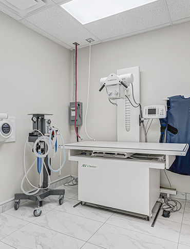 Pet-Xray-Room